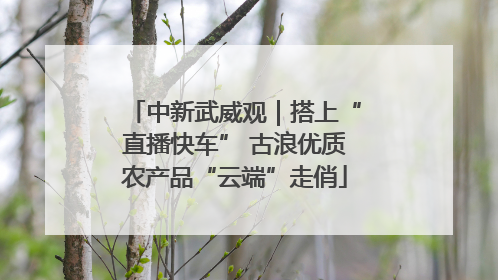 中新武威观｜搭上“直播快车” 古浪优质农产品“云端”走俏