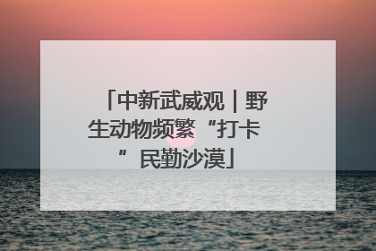 中新武威观｜野生动物频繁“打卡”民勤沙漠