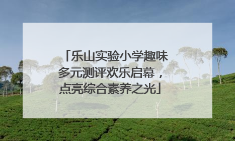 乐山实验小学趣味多元测评欢乐启幕，点亮综合素养之光