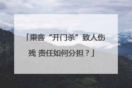 乘客“开门杀”致人伤残 责任如何分担？