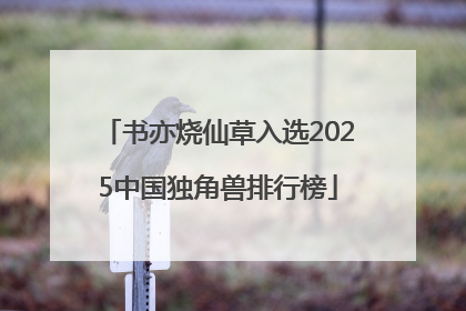书亦烧仙草入选2025中国独角兽排行榜