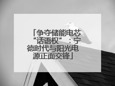 争夺储能电芯“话语权”：宁德时代与阳光电源正面交锋