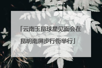 云南玉昆球星见面会在昆明南屏步行街举行