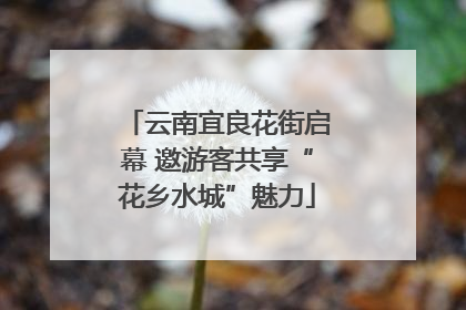 云南宜良花街启幕 邀游客共享“花乡水城”魅力
