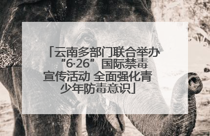 云南多部门联合举办“6·26”国际禁毒宣传活动 全面强化青少年防毒意识