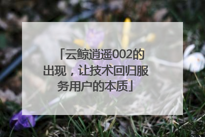 云鲸逍遥002的出现，让技术回归服务用户的本质