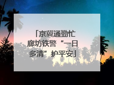 京冀通勤忙 廊坊铁警“一日多清”护平安