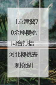 京津冀70余种樱桃同台打擂 河北樱桃表现抢眼