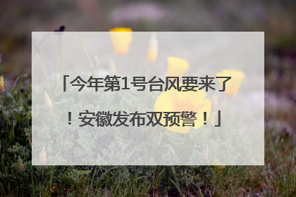 今年第1号台风要来了！安徽发布双预警！