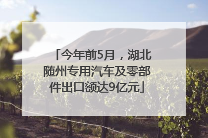 今年前5月，湖北随州专用汽车及零部件出口额达9亿元