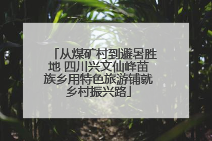 从煤矿村到避暑胜地 四川兴文仙峰苗族乡用特色旅游铺就乡村振兴路