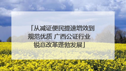 从减证便民提速增效到规范优质 广西公证行业锐意改革蓬勃发展