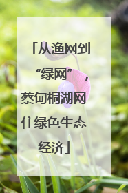 从渔网到“绿网”，蔡甸桐湖网住绿色生态经济