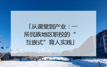 从课堂到产业：一所民族地区职校的“互嵌式”育人实践