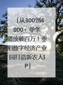 从300到4000+ 单条播放破百万！枣阳数字经济产业园打造新农人IP
