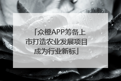 众橙APP筹备上市打造农业发展项目成为行业新标