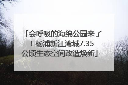 会呼吸的海绵公园来了！杨浦新江湾城7.35公顷生态空间改造焕新