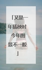 又是一年插秧时 今年图景不一般