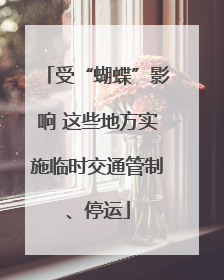受“蝴蝶”影响 这些地方实施临时交通管制、停运