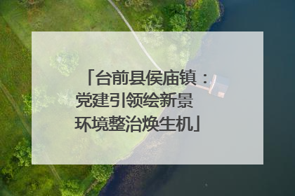 台前县侯庙镇：党建引领绘新景 环境整治焕生机