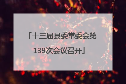 十三届县委常委会第139次会议召开