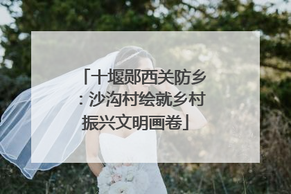 十堰郧西关防乡：沙沟村绘就乡村振兴文明画卷