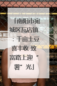 南阳市宛城区瓦店镇：千亩土豆喜丰收 致富路上迎“薯”光