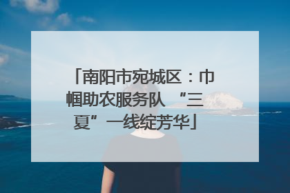 南阳市宛城区：巾帼助农服务队 “三夏”一线绽芳华