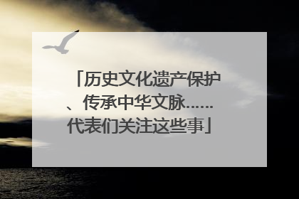 历史文化遗产保护、传承中华文脉……代表们关注这些事