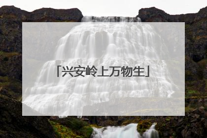 兴安岭上万物生