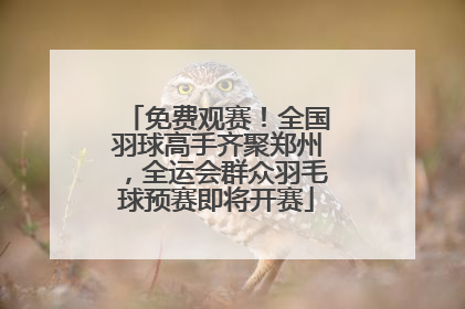免费观赛！全国羽球高手齐聚郑州，全运会群众羽毛球预赛即将开赛