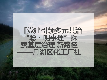 党建引领多元共治 “聪・明事理”探索基层治理 新路径——月湖区化工厂社区新实践