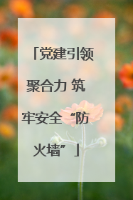 党建引领聚合力 筑牢安全“防火墙”