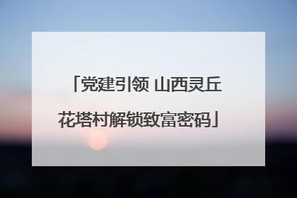 党建引领 山西灵丘花塔村解锁致富密码