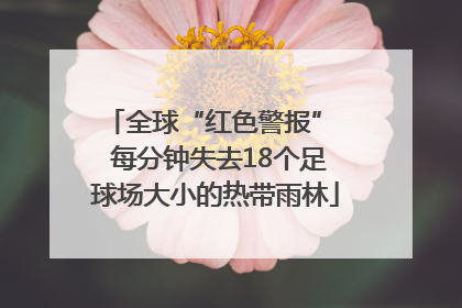 全球“红色警报”  每分钟失去18个足球场大小的热带雨林