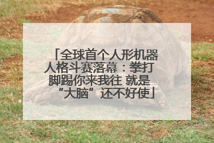 全球首个人形机器人格斗赛落幕：拳打脚踢你来我往 就是“大脑”还不好使
