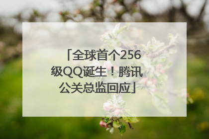 全球首个256级QQ诞生！腾讯公关总监回应