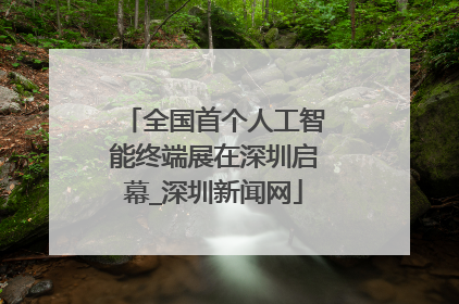全国首个人工智能终端展在深圳启幕_深圳新闻网