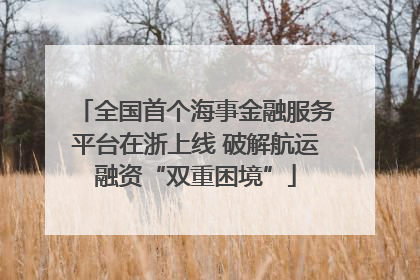 全国首个海事金融服务平台在浙上线 破解航运融资“双重困境”