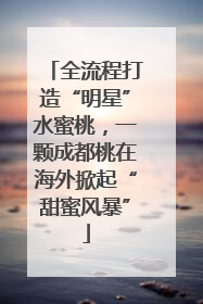 全流程打造“明星”水蜜桃，一颗成都桃在海外掀起“甜蜜风暴”