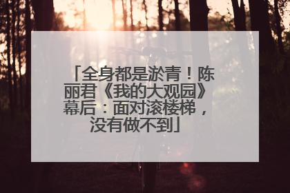 全身都是淤青！陈丽君《我的大观园》幕后：面对滚楼梯，没有做不到