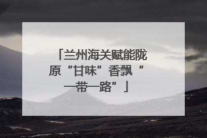 兰州海关赋能陇原“甘味”香飘“一带一路”