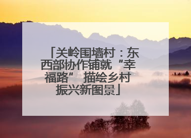 关岭围墙村：东西部协作铺就“幸福路” 描绘乡村振兴新图景