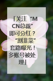 关注“MCN总裁”即可分红？“割韭菜”套路曝光！多账号被处理