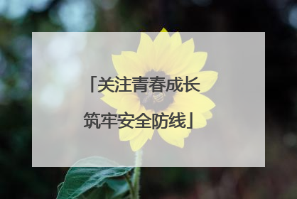 关注青春成长 筑牢安全防线