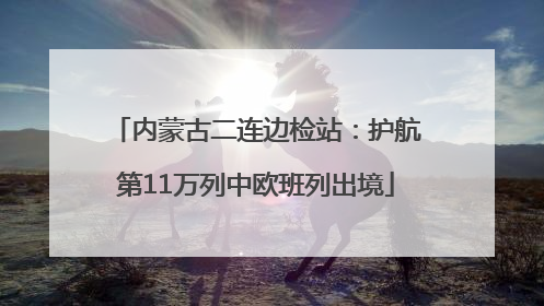 内蒙古二连边检站：护航第11万列中欧班列出境