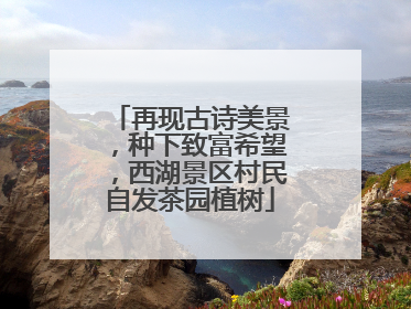 再现古诗美景，种下致富希望，西湖景区村民自发茶园植树