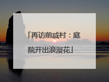 再访前戚村：庭院开出浪漫花