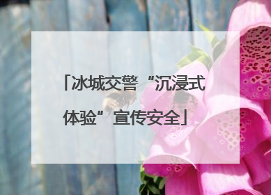 冰城交警“沉浸式体验”宣传安全