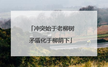 冲突始于老柳树 矛盾化于柳荫下